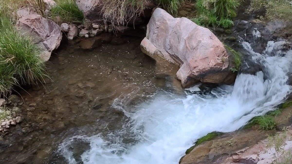 Clear creek water rushing over rocks into a calm pool at the bottom of the Grand Canyon, a reminder that motion is lotion for your joints before a workout